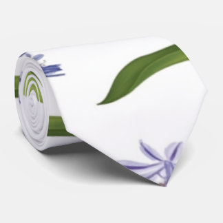 Cravate agapanthus African Lily flowers