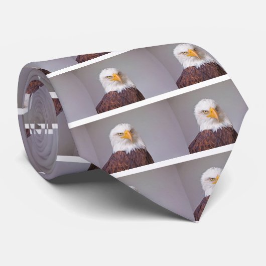 Cravate Aigle (Roulé)