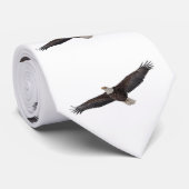Cravate Aigle à tête blanche (Roulé)