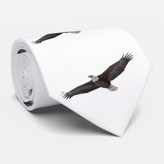 Cravate Aigle à tête blanche (Roulé)