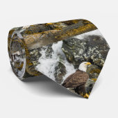 Cravate Aigle à tête blanche (Roulé)