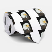 Cravate Aigle de Bald (Roulé)