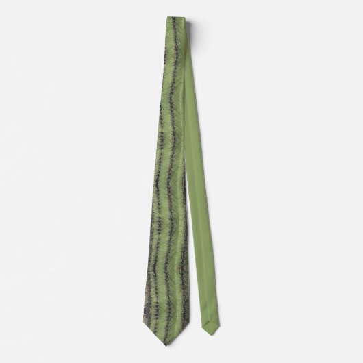 Cravate Aiguilles de Cactus Saguaro Stripe verticale Sud-o (Devant)