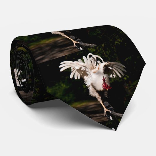 Cravate Ailes de battement de coq (Roulé)