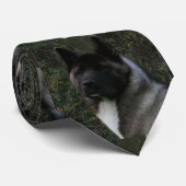 Cravate akita pinto masque noir (Roulé)