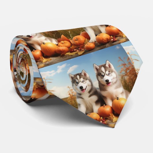 Cravate Alaskan Malamute Chiot Automne Citrouille délice (Roulé)