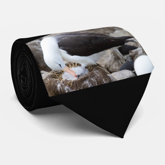 Cravate Albatross (Roulé)
