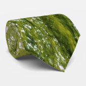 Cravate Algues vertes (Roulé)