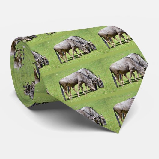 Cravate Alimentation de gnous bleus (Roulé)