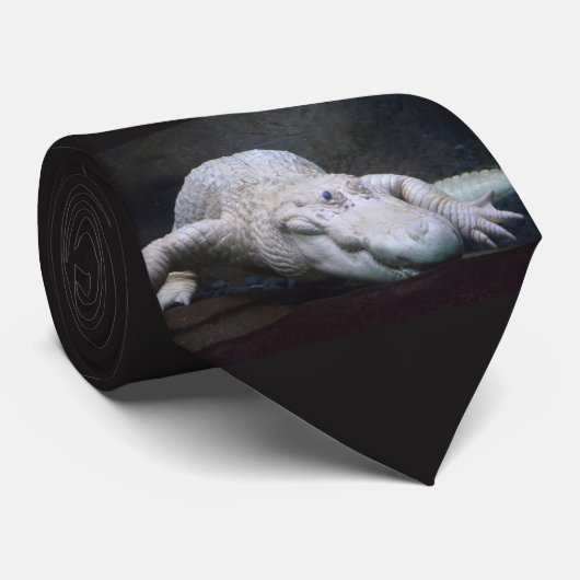 Cravate Alligator blanc de la Louisiane nouveau (Roulé)