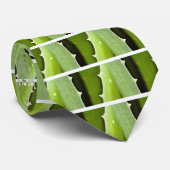 Cravate Aloès Vera (Roulé)