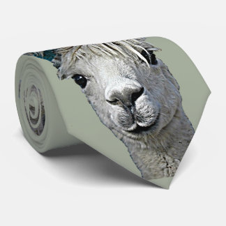 Cravate Alpaga adorable