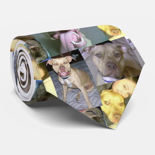 Cravate amour de pitbull (Roulé)