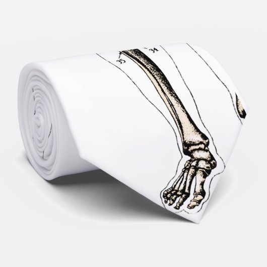 Cravate Anatomie vintage (Roulé)