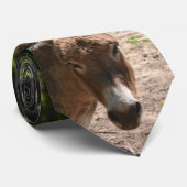 Cravate Âne Democratic (Roulé)