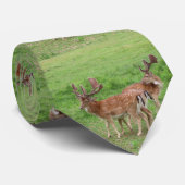 Cravate animal, cerf, faune, forêt, prairie, chasse, G (Roulé)