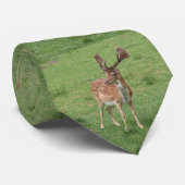 Cravate animal, cerf, faune, forêt, prairie, chasse, n (Roulé)