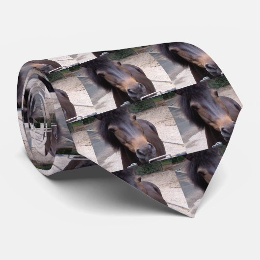 Cravate Animal, Cheval, Pony (Roulé)