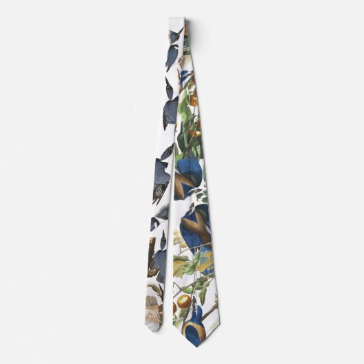 Cravate animale de faune d'oiseaux de (Dos)
