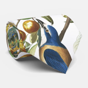 Cravate animale de faune d'oiseaux de geai