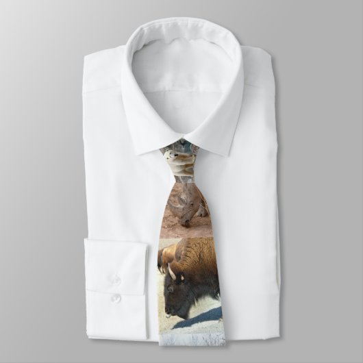 cravate animale de zoo (Attaché)