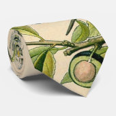 Cravate Antique Blackthorn Botanique Imprimé Fleur Berry (Roulé)