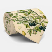 Cravate Antique Blackthorn Botanique Imprimé Fleur Berry (Roulé)