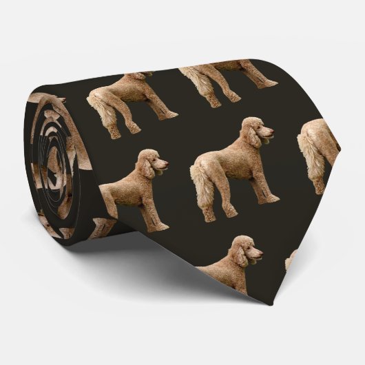 Cravate Apricot Poodle (Roulé)