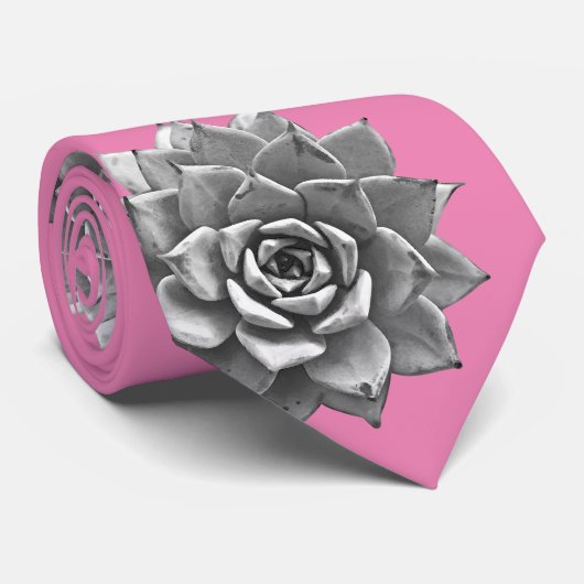 Cravate Aquarelle Succulents Gris sur rose (Roulé)