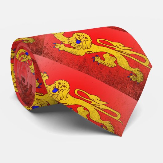 Cravate Aquitaine (Roulé)