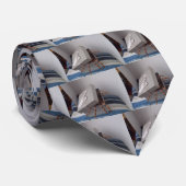 Cravate Araignée dans la boîte-cadeau (Roulé)