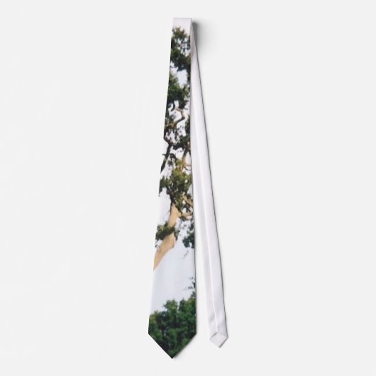 Cravate Arbre (Devant)