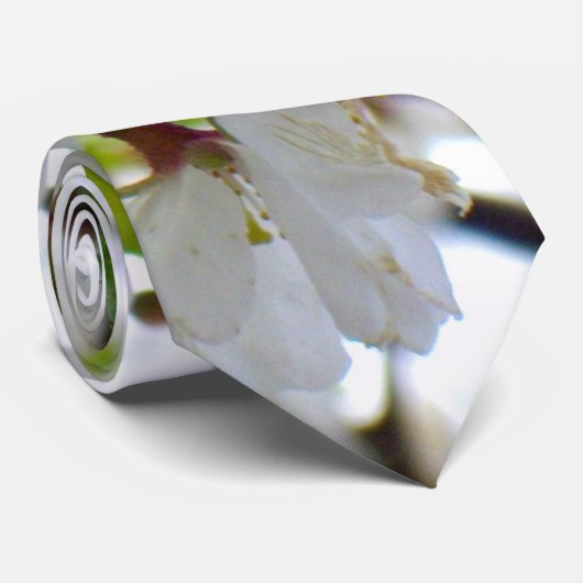 Cravate Arbre à fleurs blanches (Roulé)
