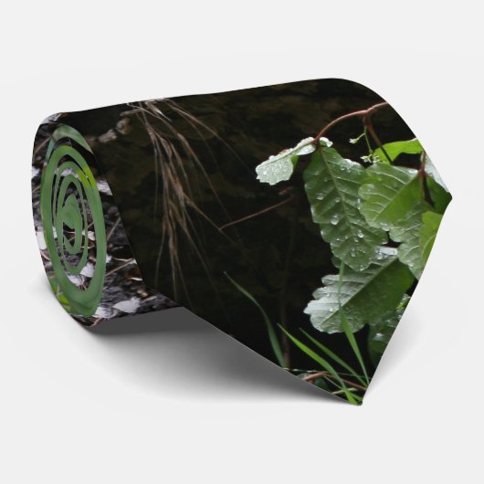 Cravate Arbres de feuille en bois de forêt augmentant (Roulé)