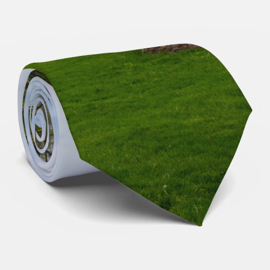 Cravate Arche Du Parc (Roulé)