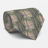 Cravate Ardoise Gris Nuthatch Objets Songbird (Roulé)