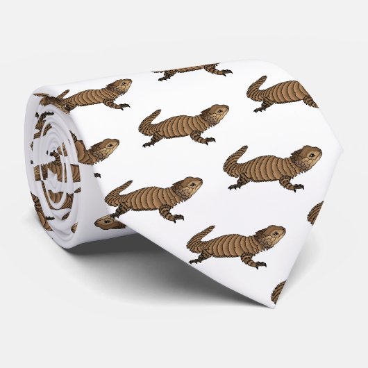 Cravate Armadillo girdled lizard (Roulé)