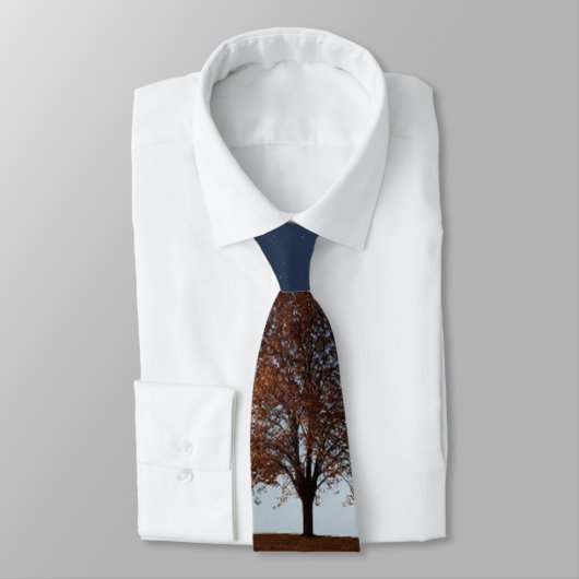 CRAVATE AROOS (Attaché)
