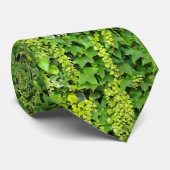 Cravate Arrière - plan de rameper japonais (Roulé)