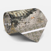 Cravate arrière - plan fossile (Roulé)