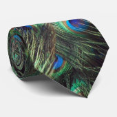 Cravate Arrière - plan Peacock Feather (Roulé)