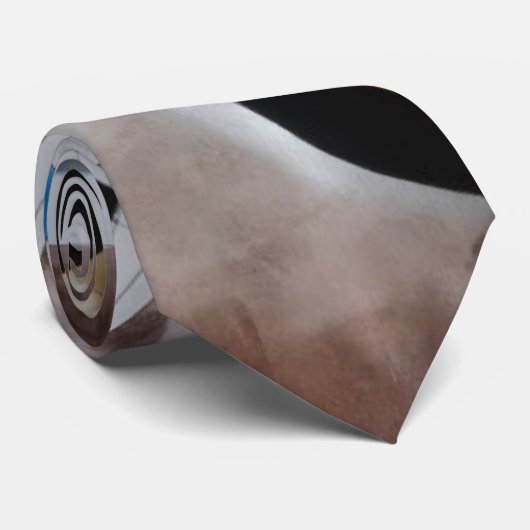 Cravate Art moderne de la moitié du siècle abstraite de (Roulé)