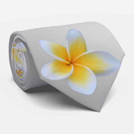 Cravate asiatique, jaune, blanc, floraison, brillant, or, (Roulé)