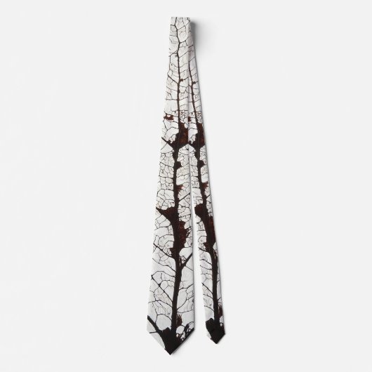 Cravate Aspen Feuille Squelette 1 (Devant)