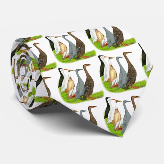 Cravate Assortiment de canard coureur (Roulé)