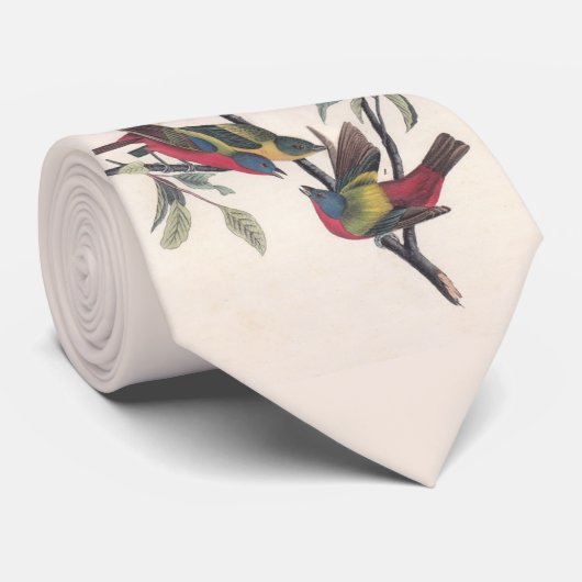 Cravate Audubon Peint Bunting Bird Wildlife (Roulé)