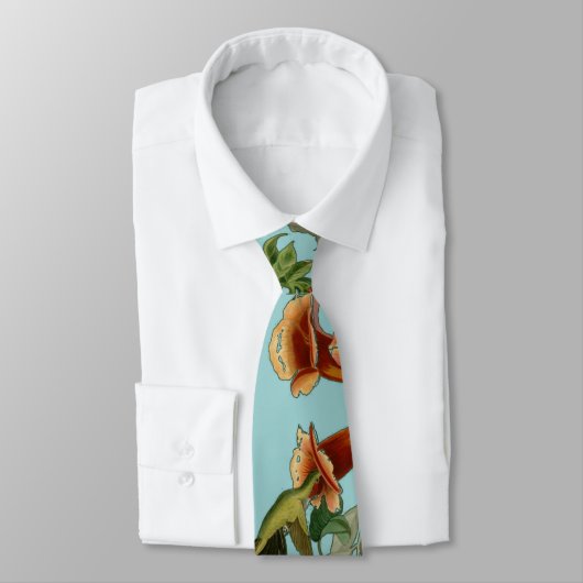 Cravate Audubon Throsé de colibri (Attaché)