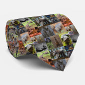 Cravate Australian Animals Photo Collage, Neck Tie (Roulé)