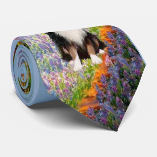 Cravate Australian Shepherd 2 - Garden (Roulé)