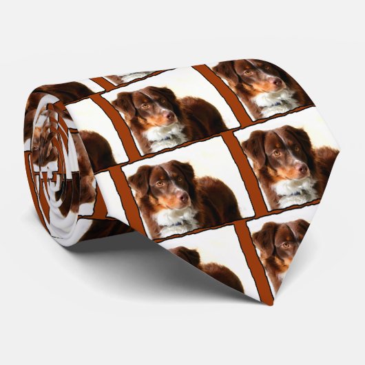 Cravate australienne de berger (Roulé)